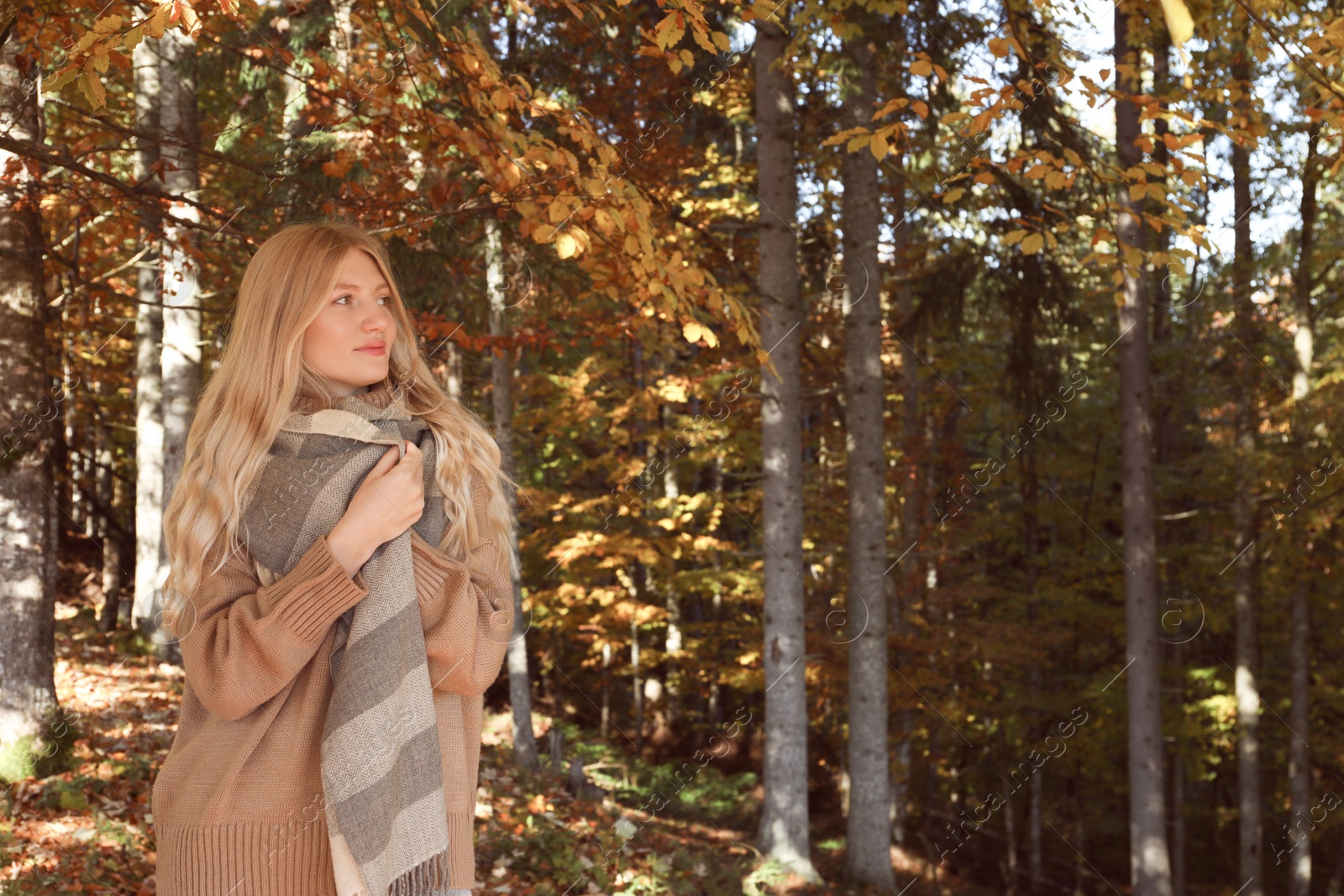 Photo of Portrait of beautiful young woman in autumn forest. Space for text