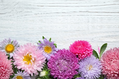 Flat lay composition with beautiful aster flowers on white wooden table. Space for text