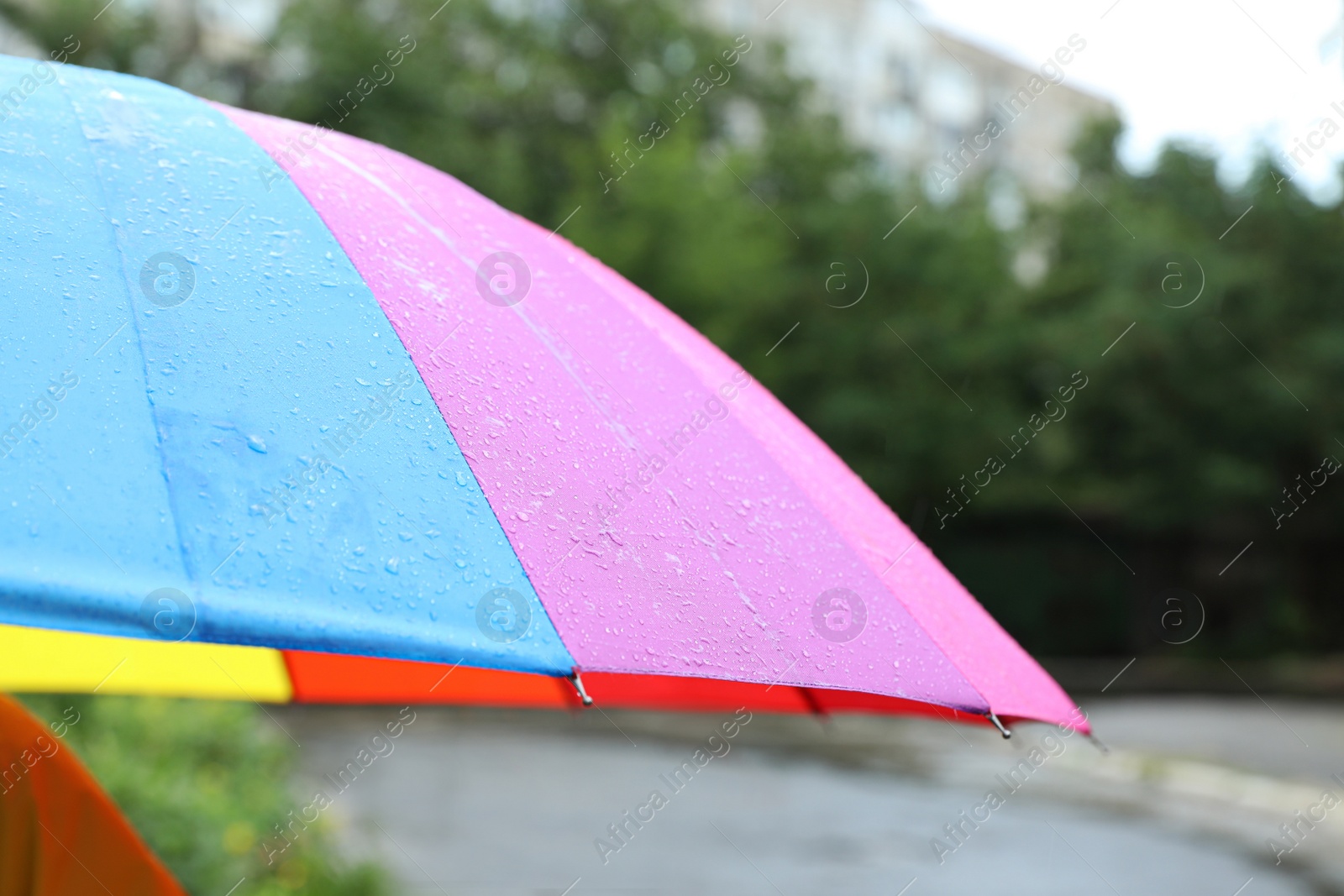 Photo of Colorful umbrella outdoors on rainy day, closeup