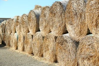 Many hay blocks outdoors on sunny day