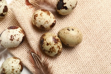 Speckled quail eggs and feathers on beige cloth, top view
