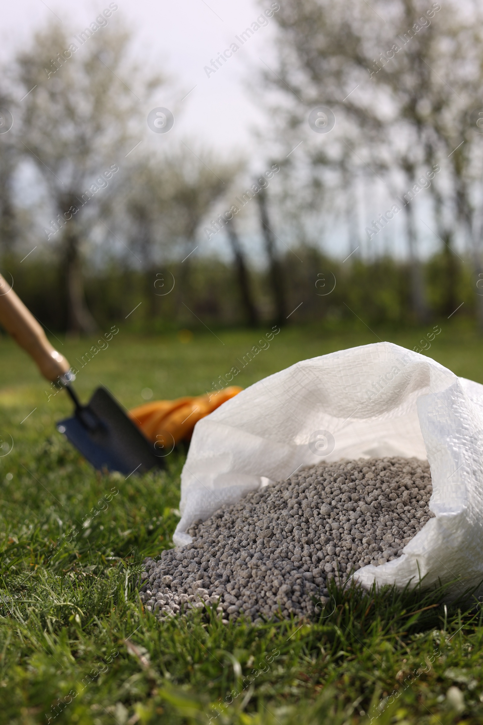 Photo of Granulated fertilizer in sack on green grass outdoors, closeup