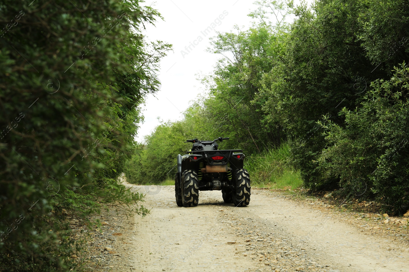 Photo of Black quad bike on pathway near trees outdoors