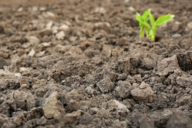 Textured ground surface as background, closeup. Fertile soil for farming and gardening