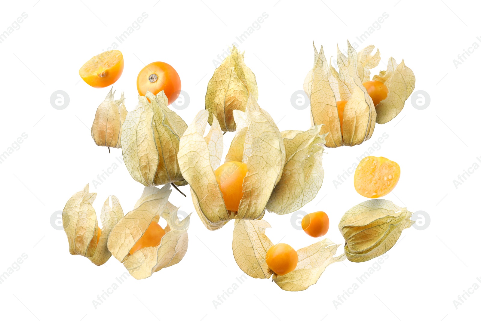 Image of Ripe orange physalis fruits with calyx falling on white background