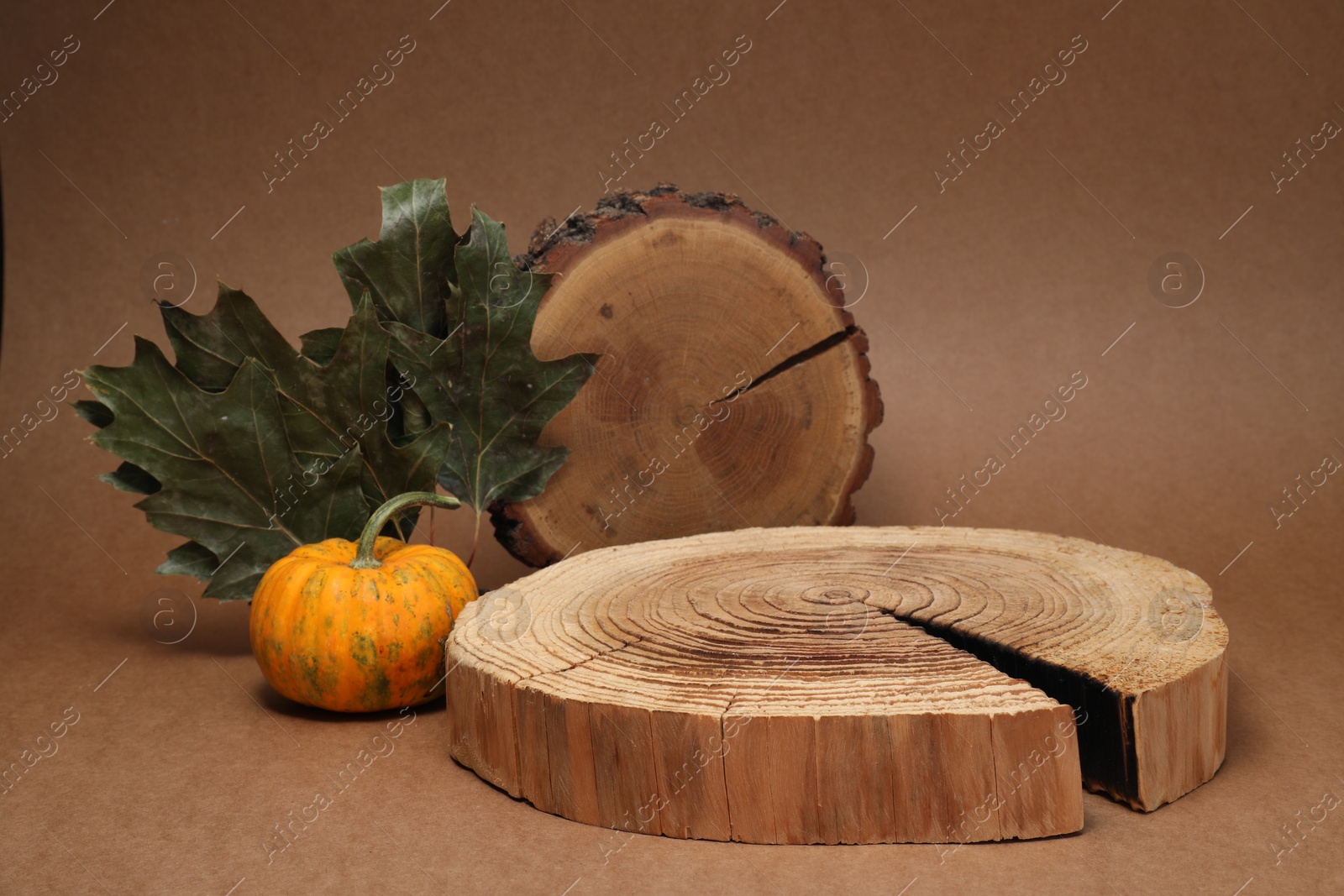 Photo of Autumn presentation for product. Wooden stumps, pumpkin and dry leaves on brown background
