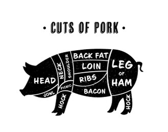 Illustration of Butcher's guide: Cuts of pork scheme.  pig on white background