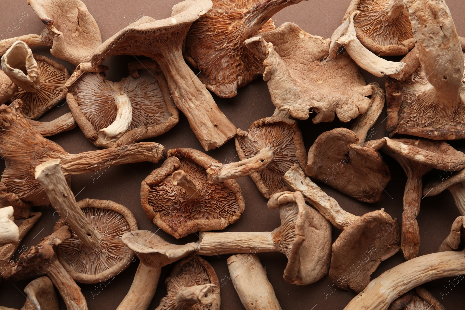 Photo of Delicious dried mushrooms on table, top view