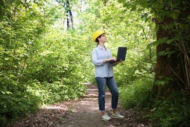 Photo of Forester with laptop examining plants in forest