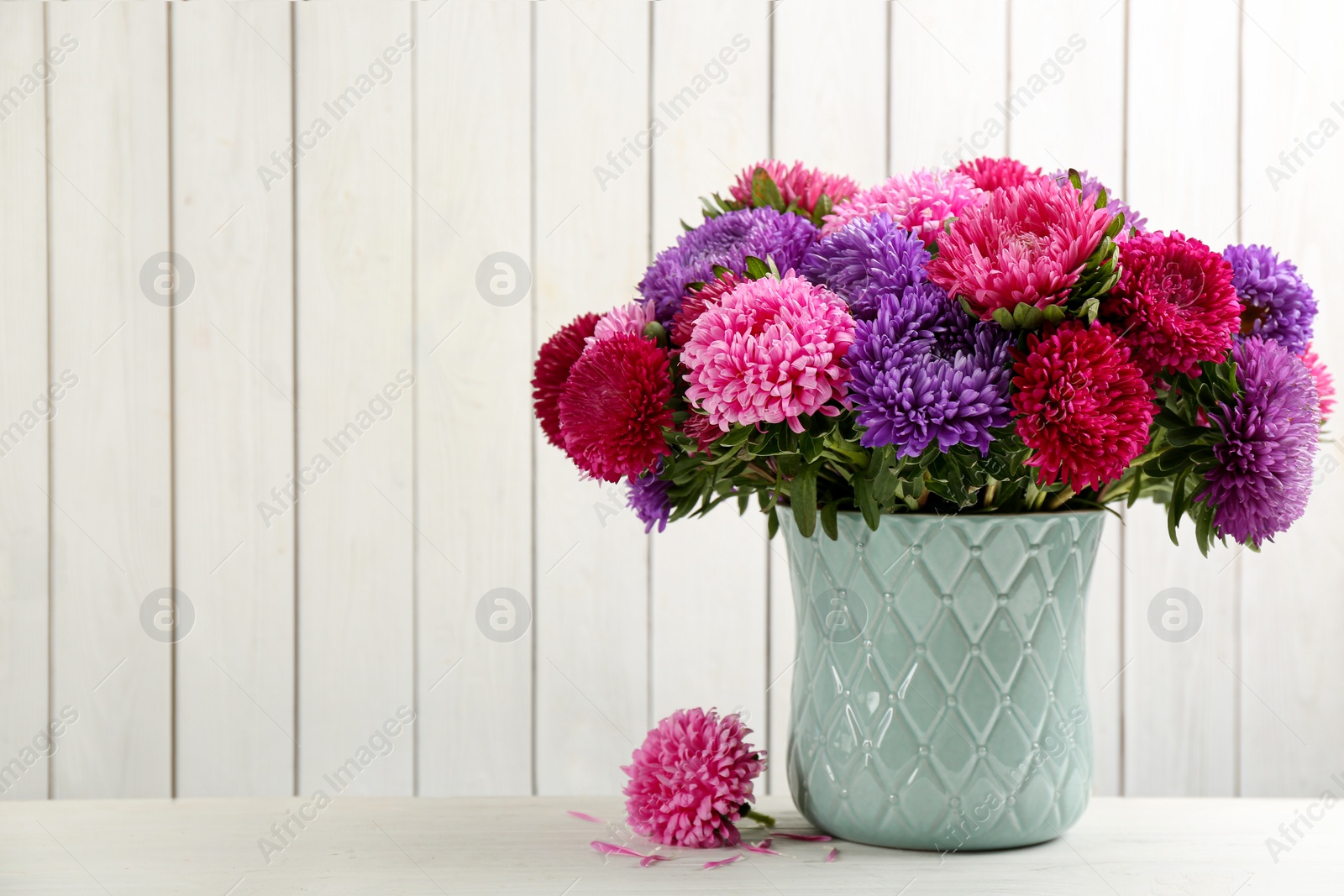 Photo of Beautiful asters in vase on table against white wooden background, space for text. Autumn flowers