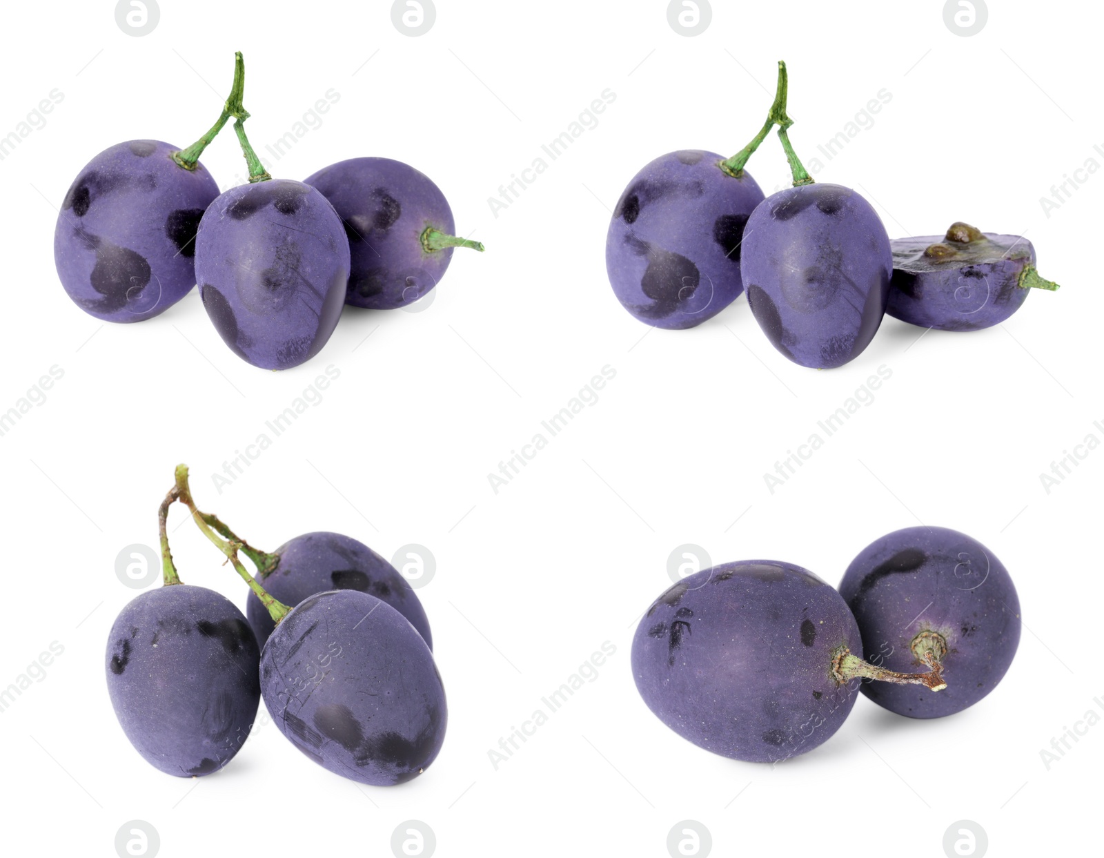 Image of Delicious fresh dark blue grapes isolated on white, set