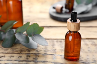 Photo of Bottle of essential oil and eucalyptus branch on wooden table, closeup. Space for text