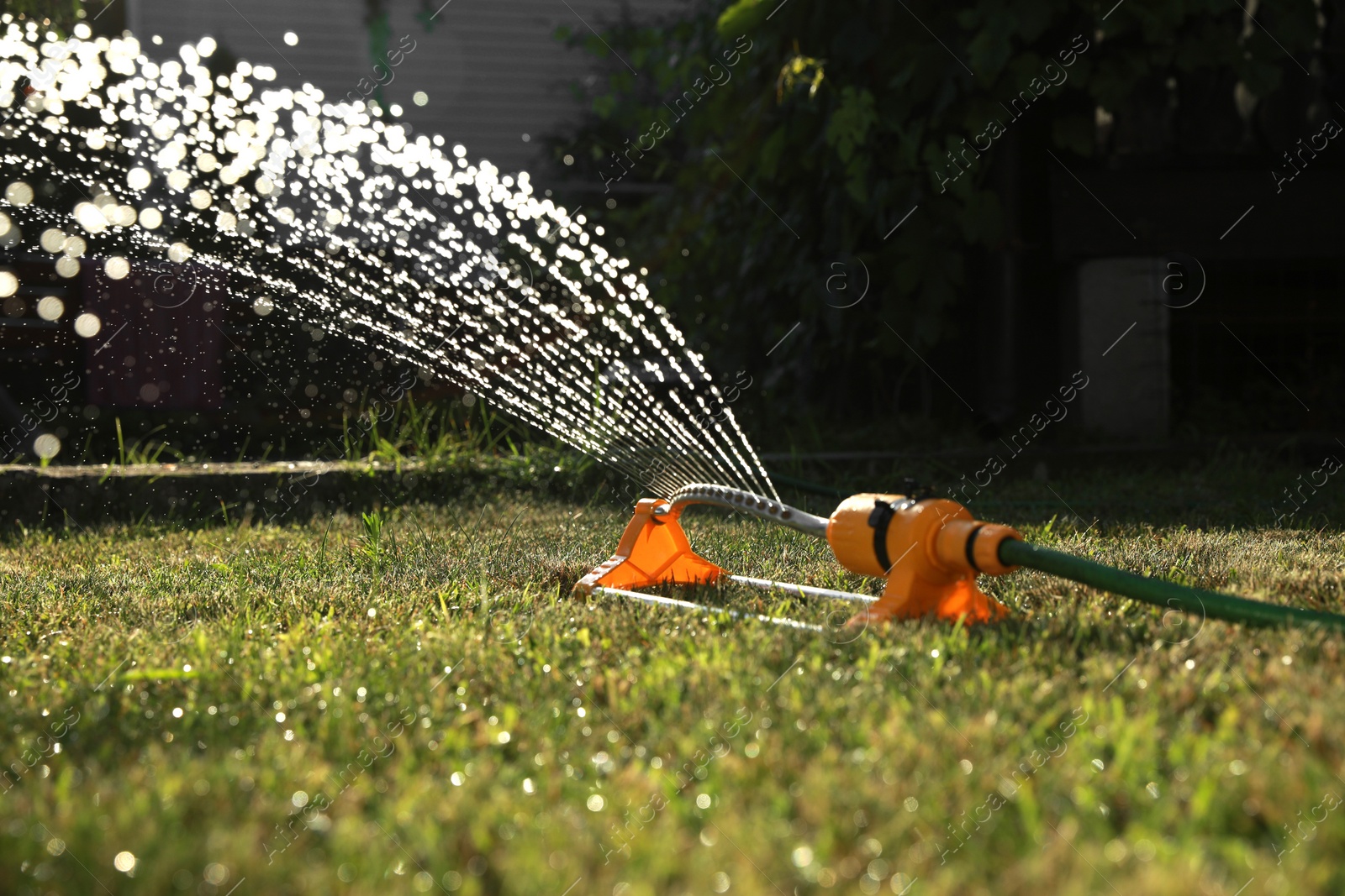 Photo of Automatic sprinkler watering green grass on sunny day outdoors. Irrigation system