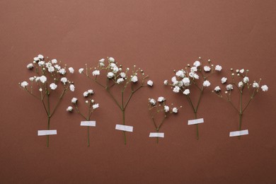 Photo of Twigs of white gypsophila plant on brown background. Space for text