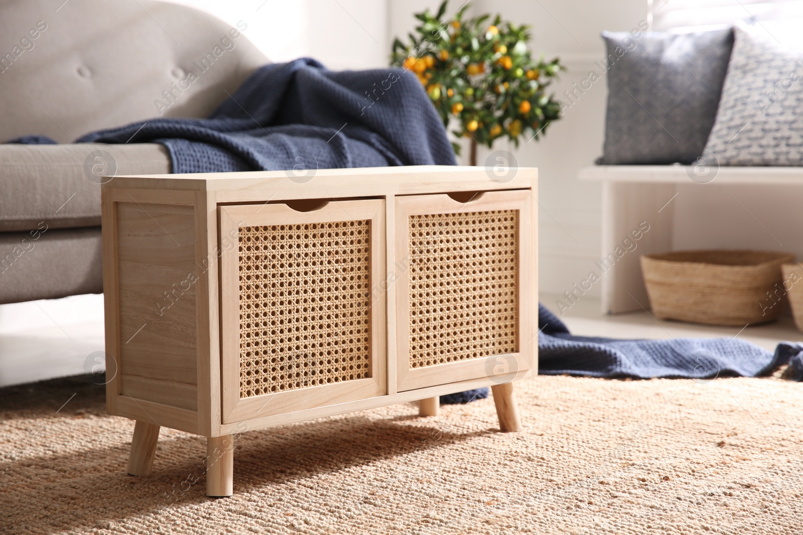 Photo of Wooden cabinet near sofa in living room. Interior design