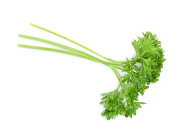 Fresh green organic parsley on white background