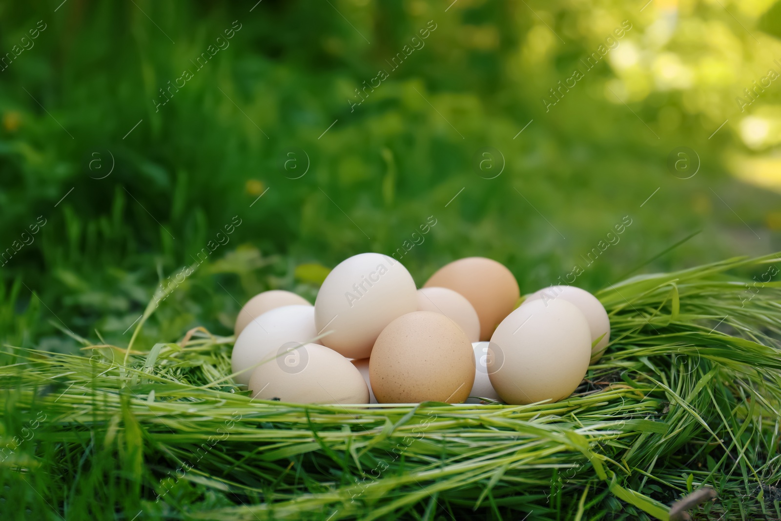 Photo of Fresh raw eggs in nest made of green grass outdoors