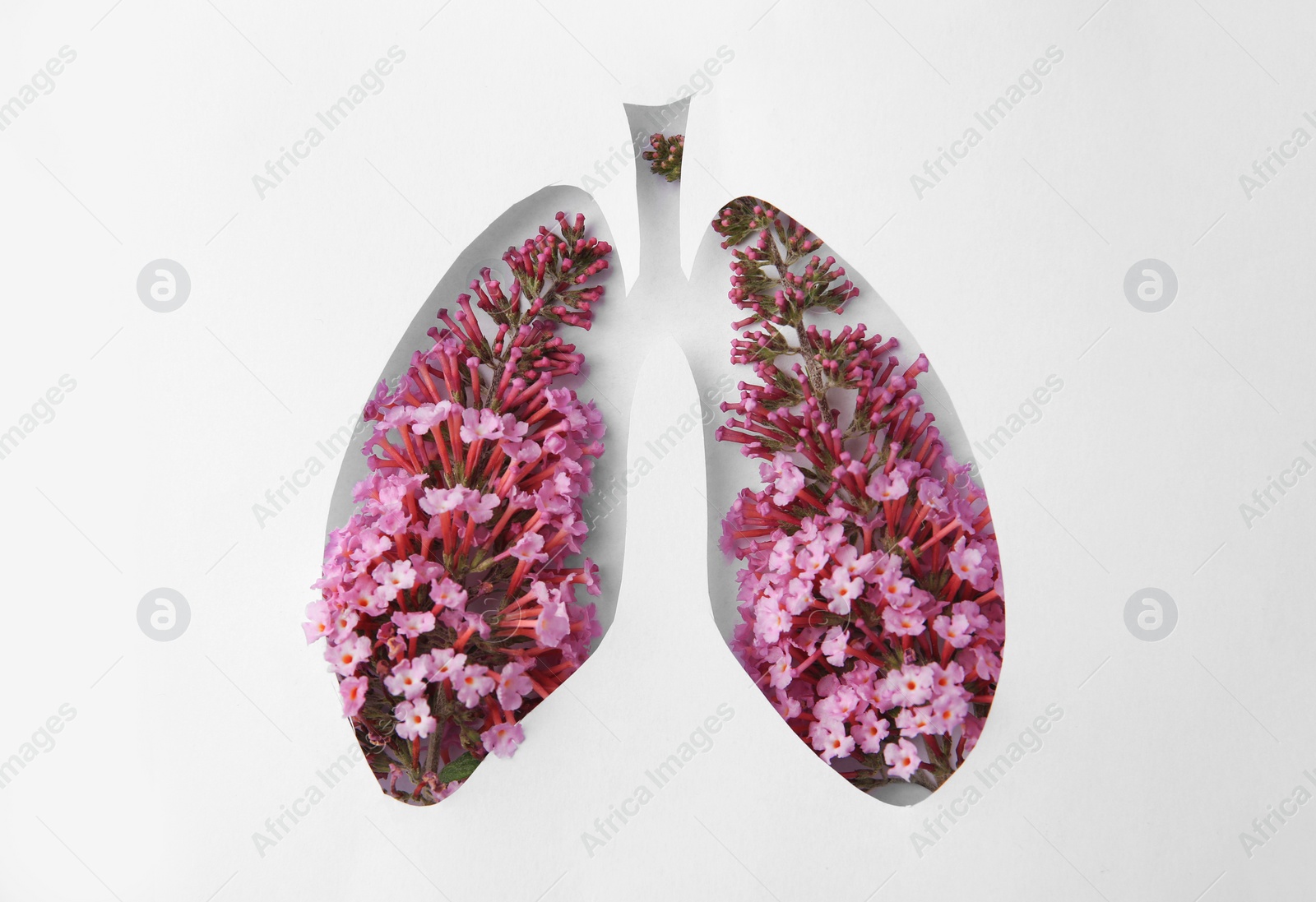 Photo of Human lungs shape hole in white paper with beautiful flowers, top view