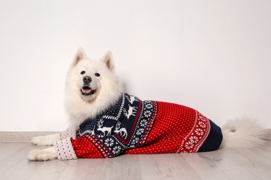 Cute dog in warm sweater on floor. Christmas celebration