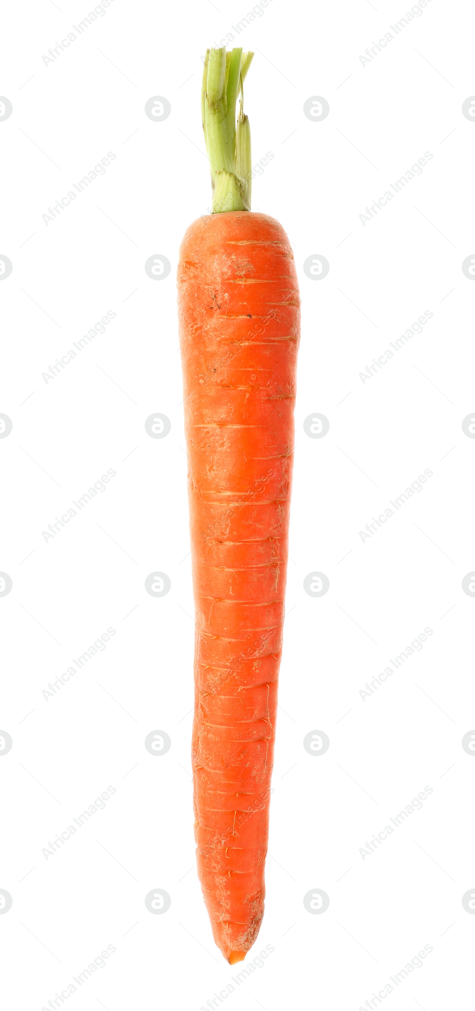 Photo of Delicious fresh ripe carrot isolated on white