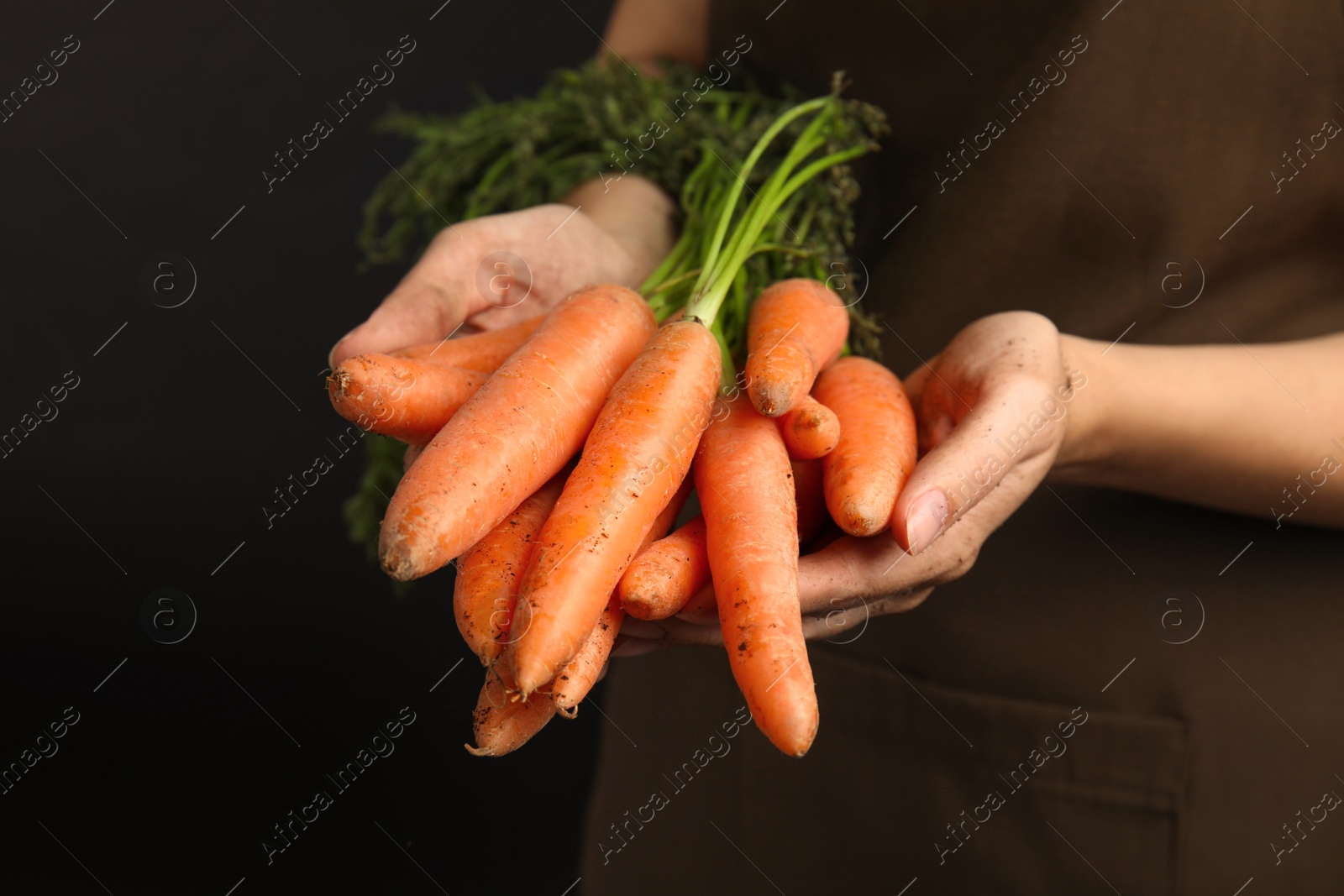 Photo of Young woman holding ripe carrots on black background, closeup