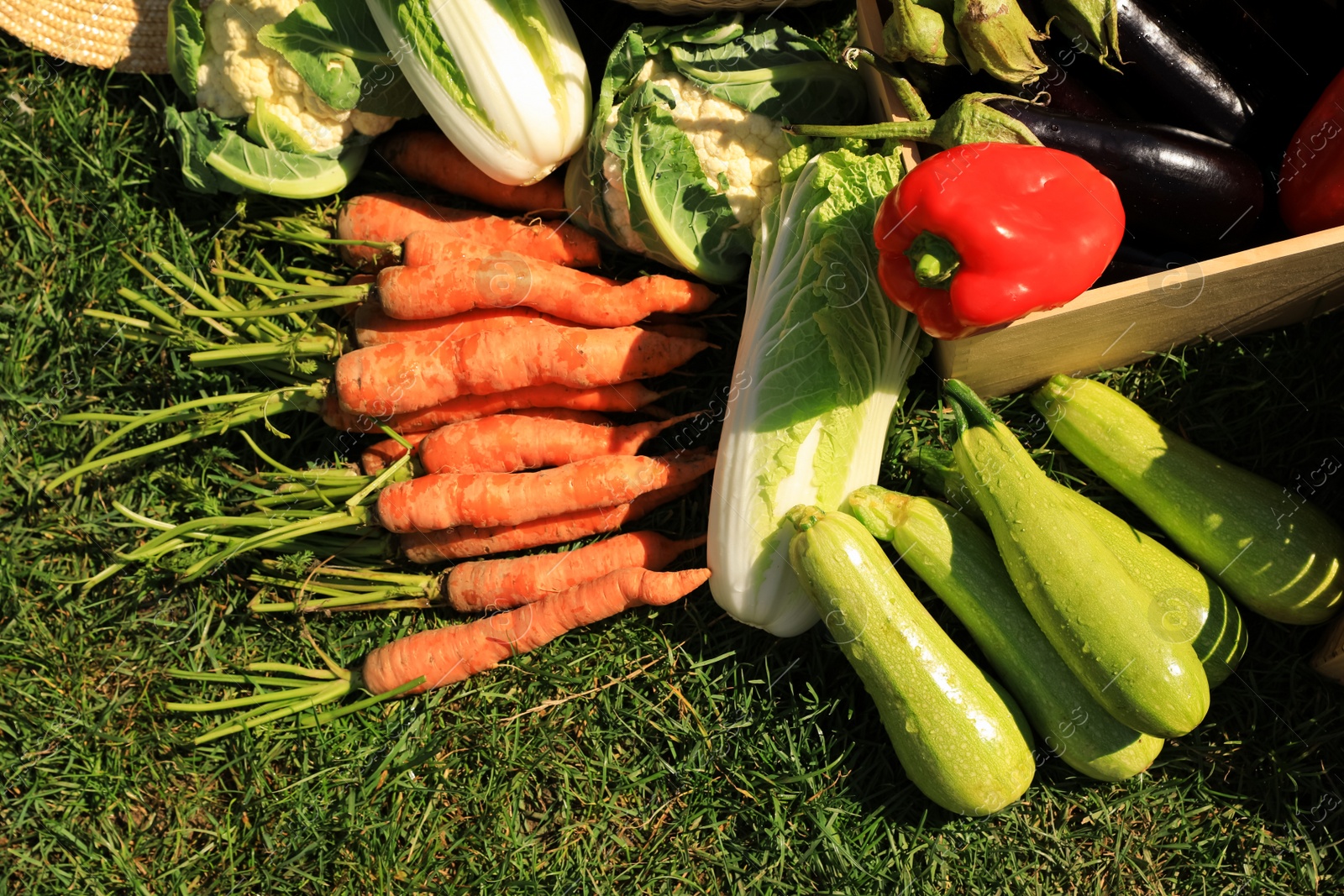 Photo of Different fresh ripe vegetables on green grass, flat lay