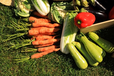 Photo of Different fresh ripe vegetables on green grass, flat lay