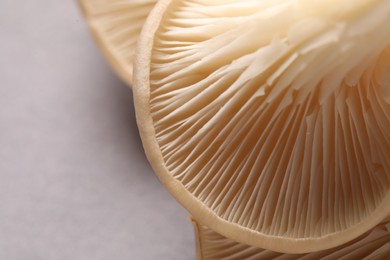 Photo of Fresh oyster mushrooms on grey background, macro view