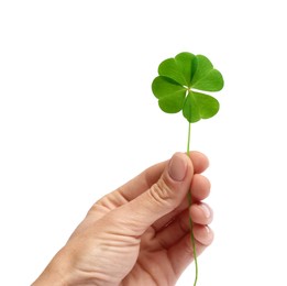 Photo of Woman holding beautiful green four leaf clover on white background, closeup