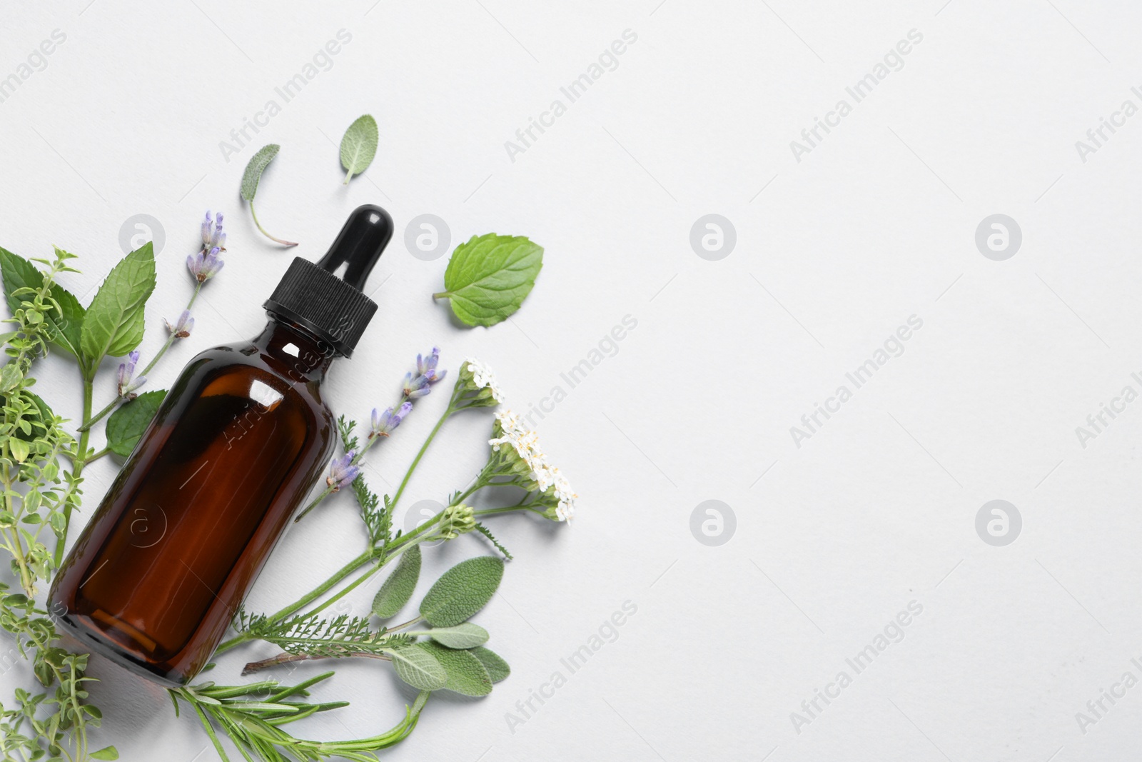 Photo of Bottle of essential oil, different herbs and flowers on white background, flat lay. Space for text