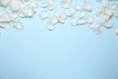Photo of Beautiful white rose flower petals on light blue background, flat lay. Space for text
