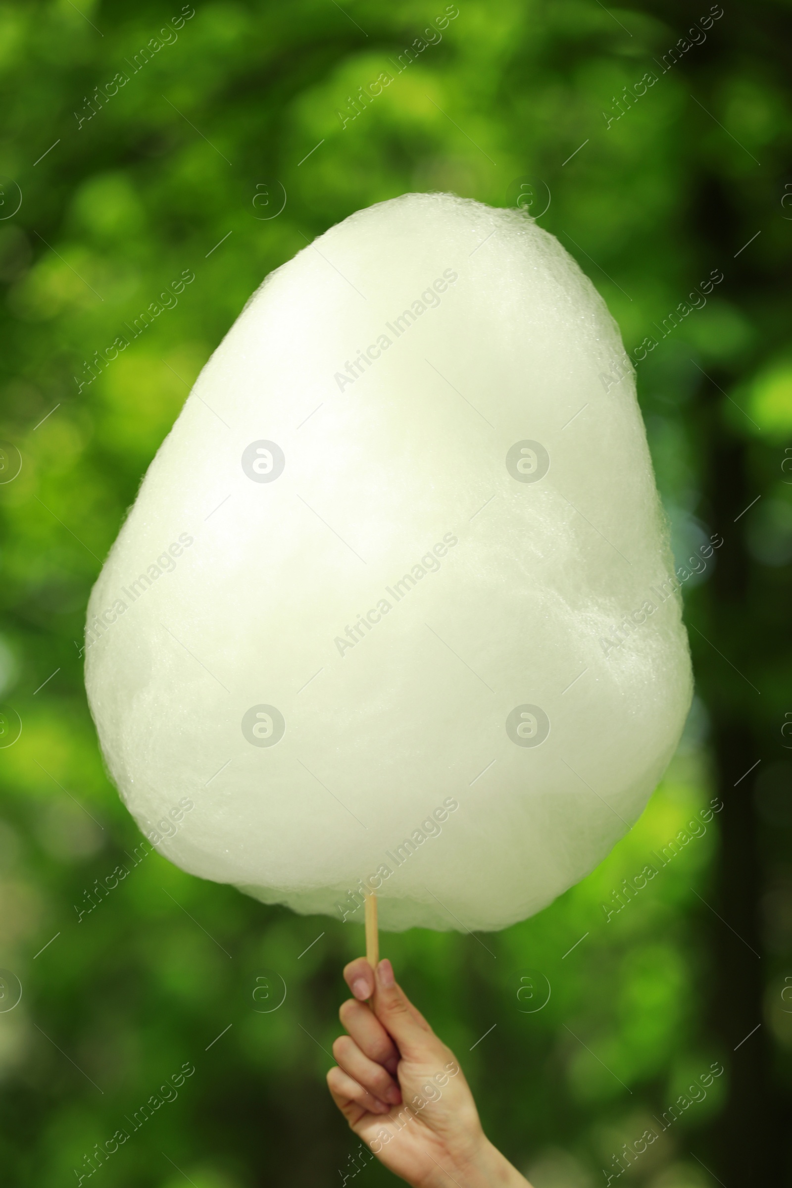 Photo of Woman holding sweet cotton candy outdoors, closeup