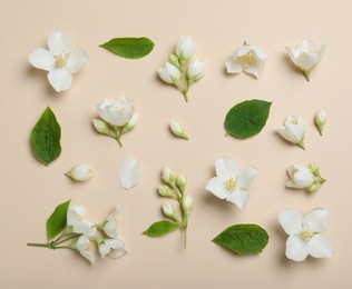 Photo of Flat lay composition with beautiful jasmine flowers on beige background