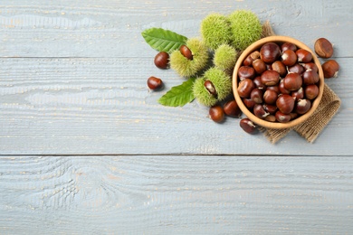 Fresh sweet edible chestnuts on grey wooden table, flat lay. Space for text