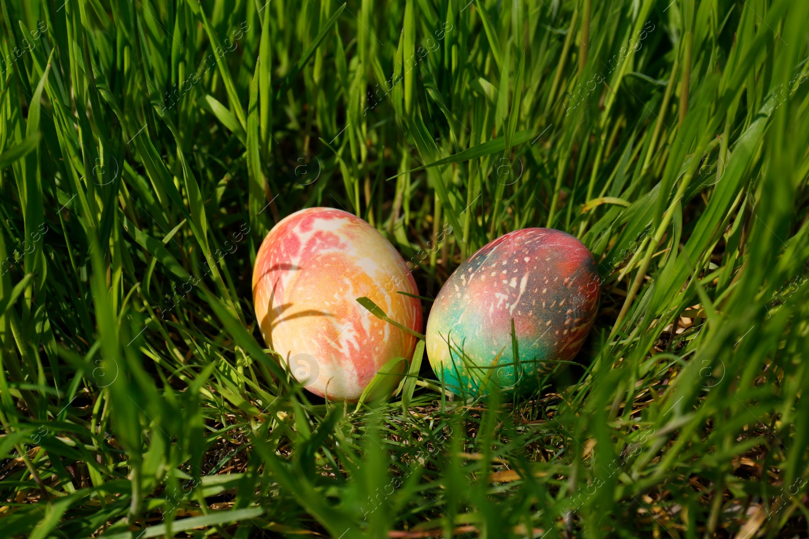 Photo of Two colorful Easter eggs in green grass outdoors