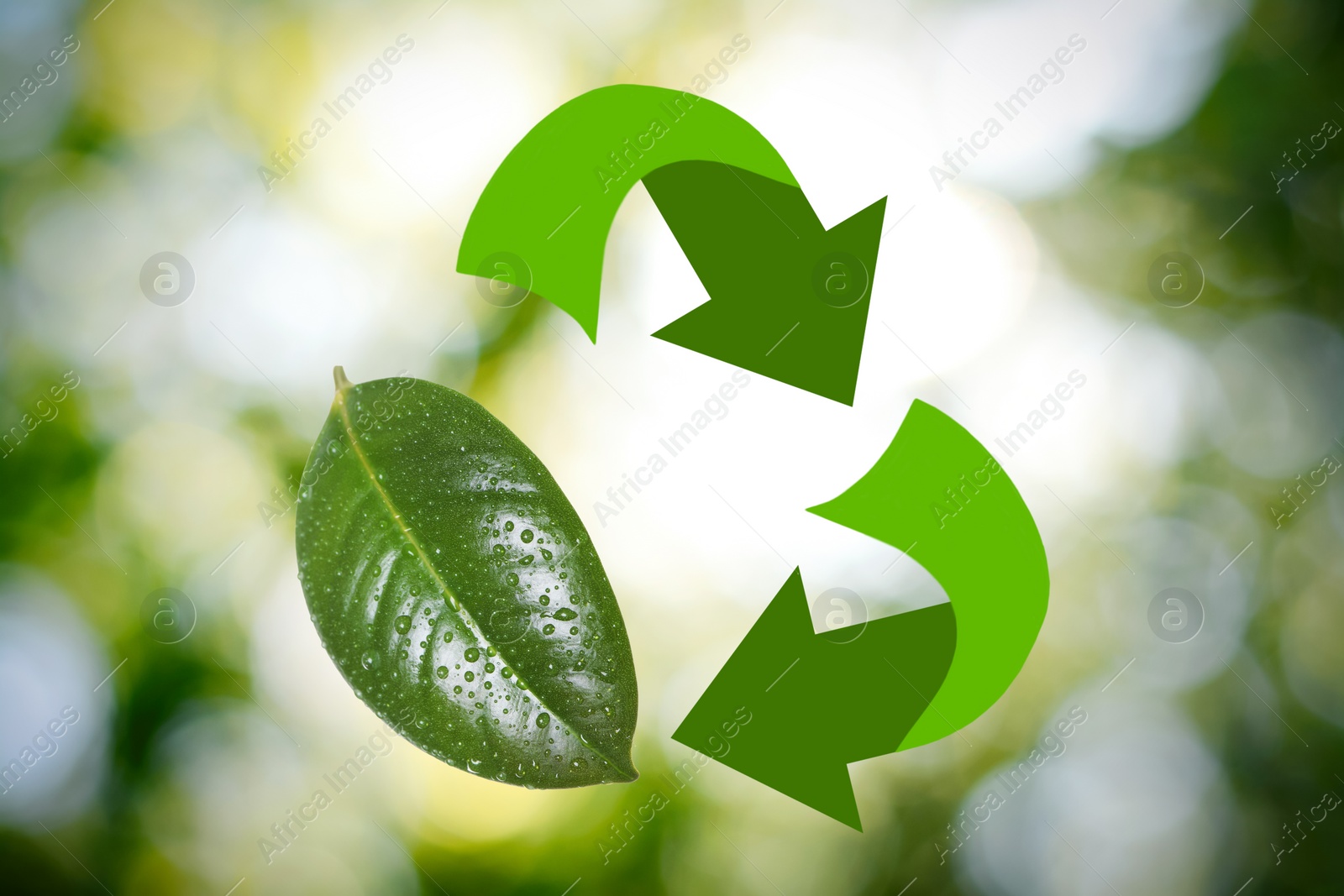 Image of Recycling symbol made of arrows and green leaf with dew on blurred background. Bokeh effect