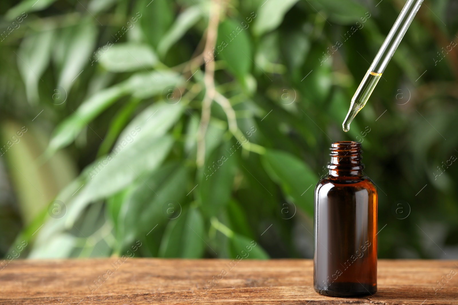 Photo of Essential oil dripping from pipette into bottle on wooden table, space for text