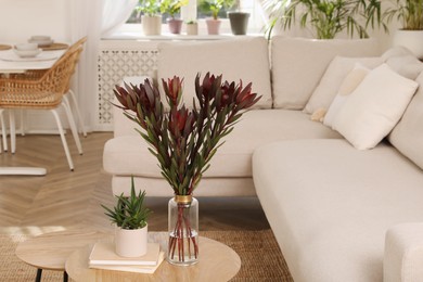 Photo of Beautiful plants on table near sofa in living room. Interior design