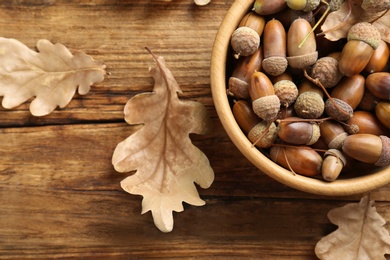 Acorns and oak leaves on wooden table, flat lay