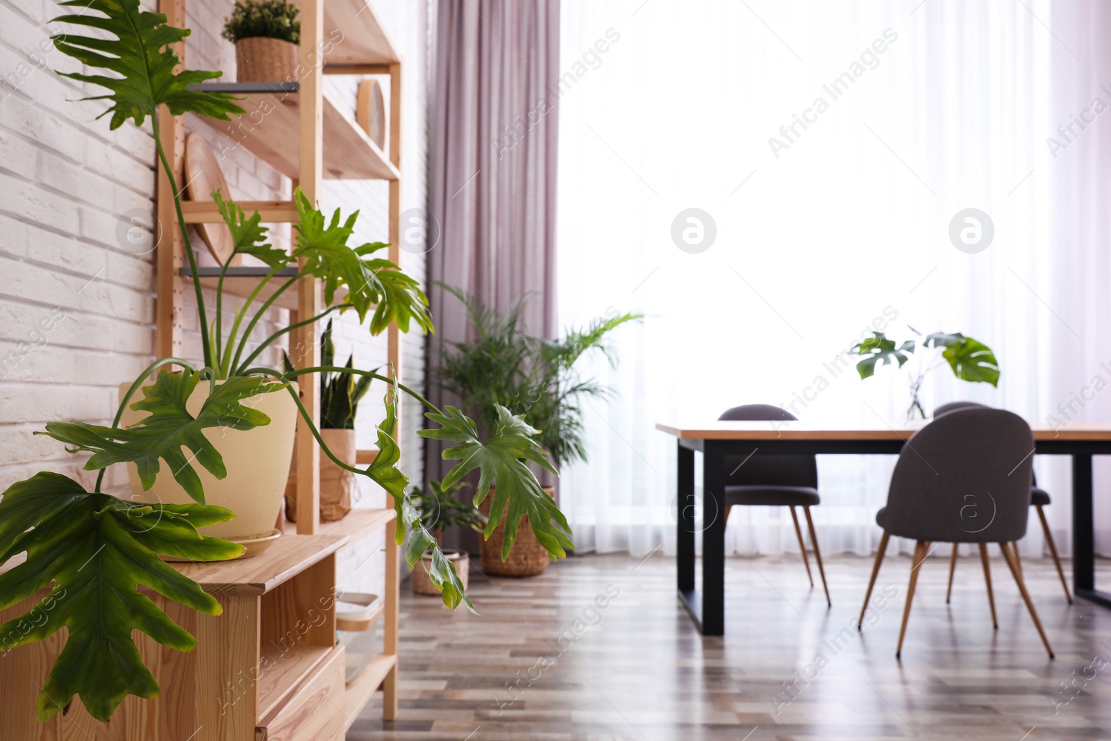 Photo of Stylish room interior with green plants. Home decoration