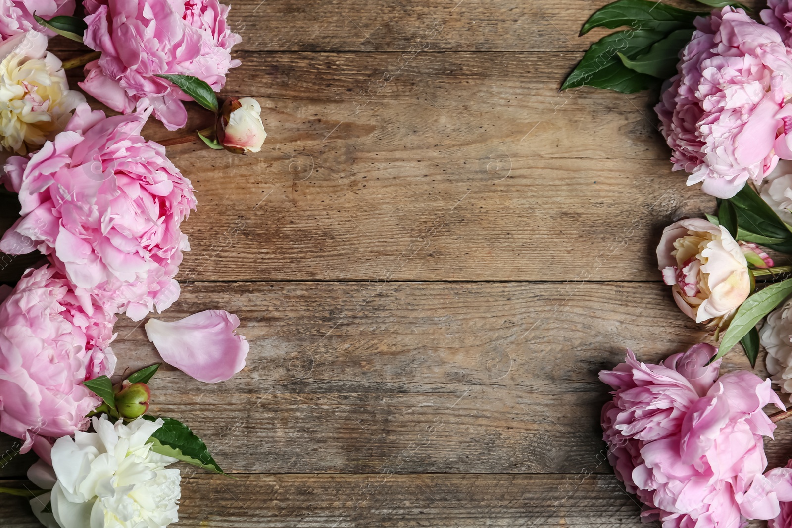 Photo of Beautiful peonies on wooden table, flat lay. Space for text