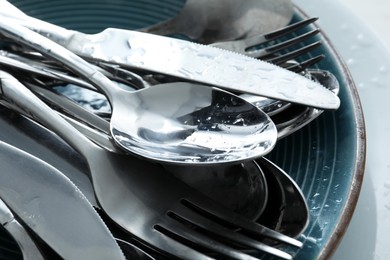 Silver clean spoons, forks and knives on plate, closeup