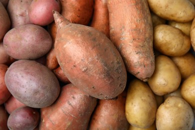 Photo of Different types of fresh potatoes as background, top view