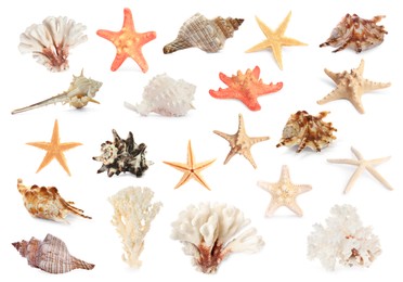 Set with sea stars, shells and corals isolated on white