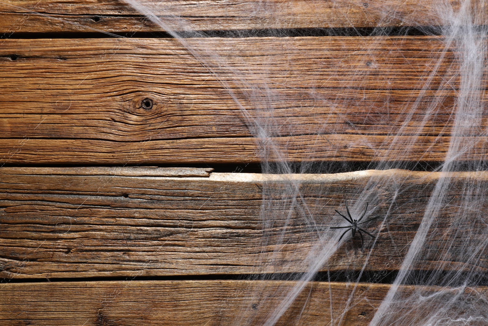 Photo of Cobweb and spider on wooden surface, top view. Space for text