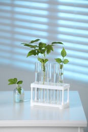 Laboratory glassware with plants on white table, toned in blue