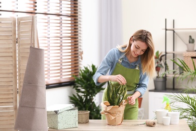 Photo of Young woman taking care of houseplant indoors. Interior element