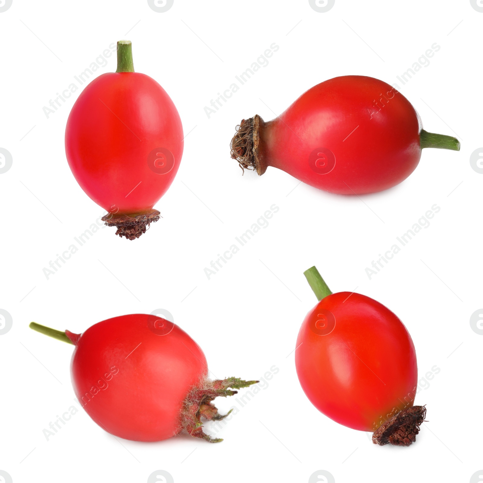 Image of Set with ripe rose hip berries on white background 