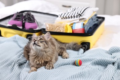 Photo of Travel with pet. Cat, ball, clothes and suitcase on bed indoors