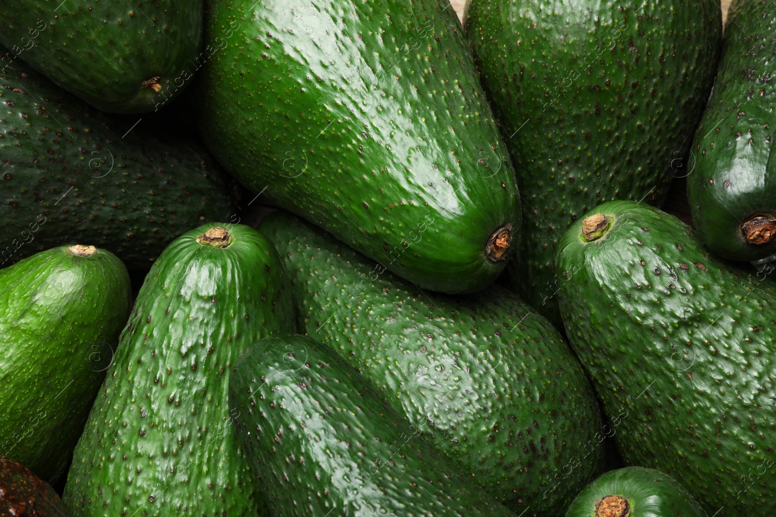 Photo of Tasty ripe green avocados as background, closeup